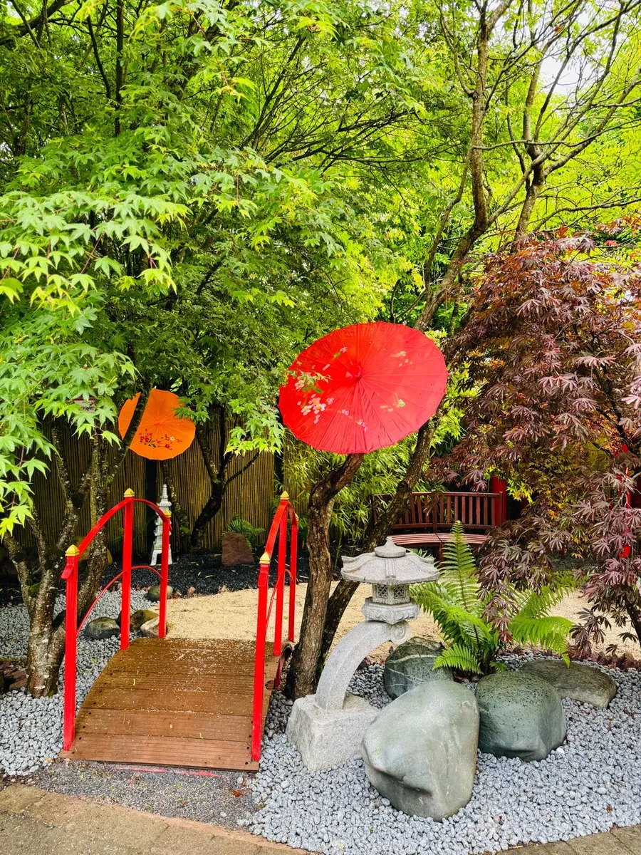 Plum slate Decorative stone Pebble Chips Rocks - Image 3