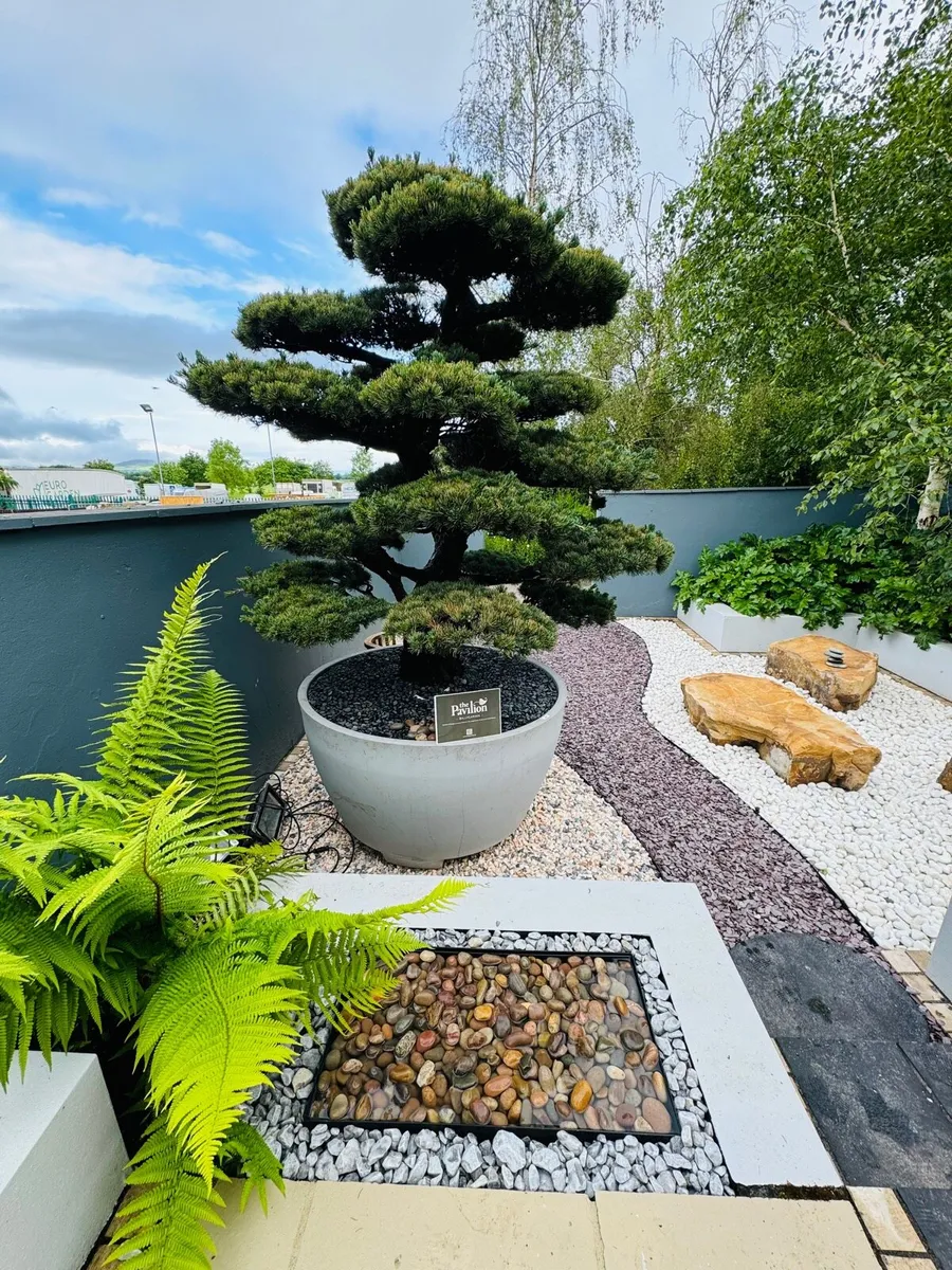 Plum slate Decorative stone Pebble Chips Rocks - Image 4