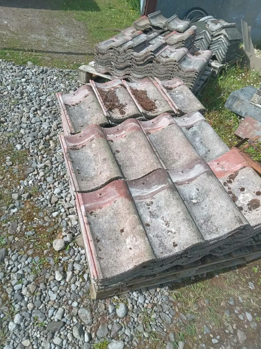 Single Roman tiles 1960 - Image 1