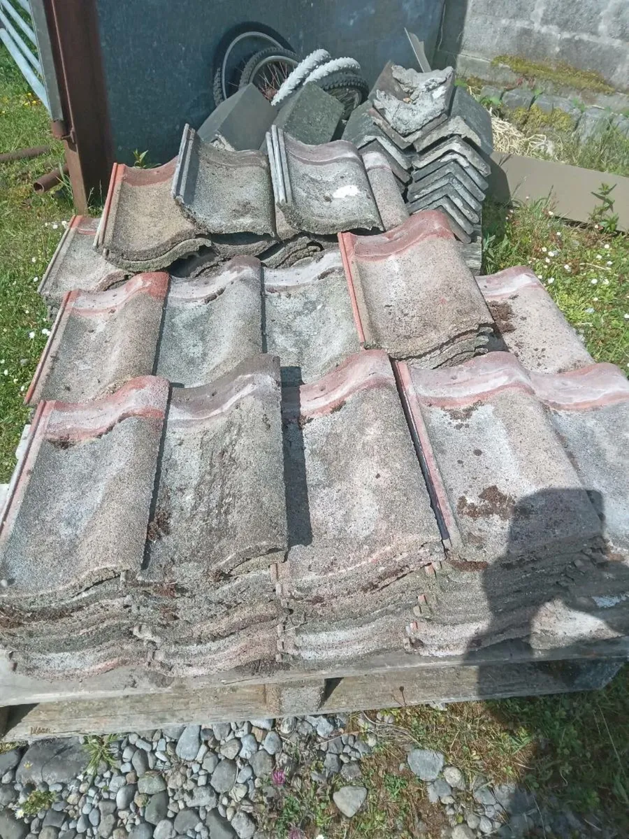 Single Roman tiles 1960 - Image 3