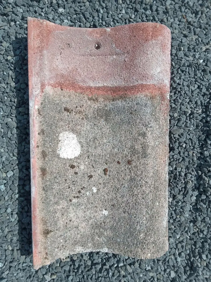 Single Roman tiles 1960 - Image 4