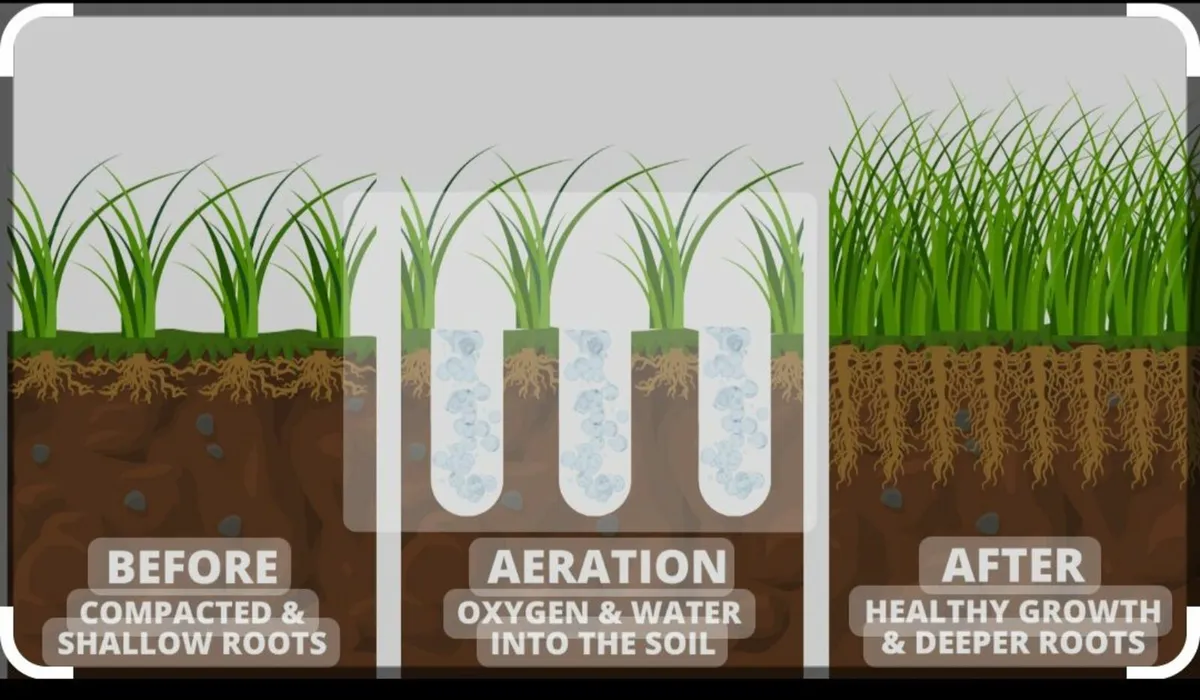 Aerating / Slitting service - Image 2