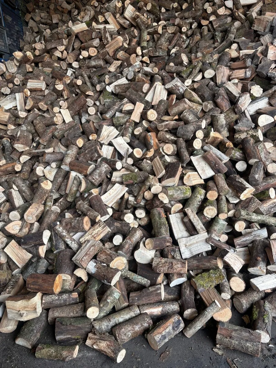 firewood - Image 1