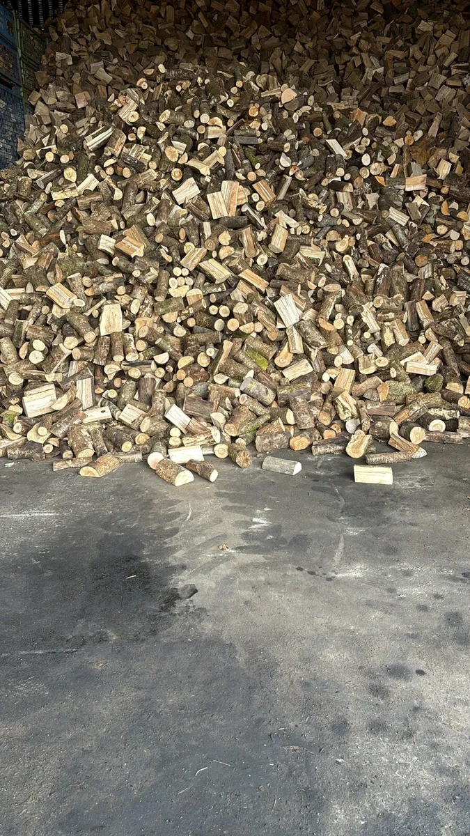 firewood - Image 2