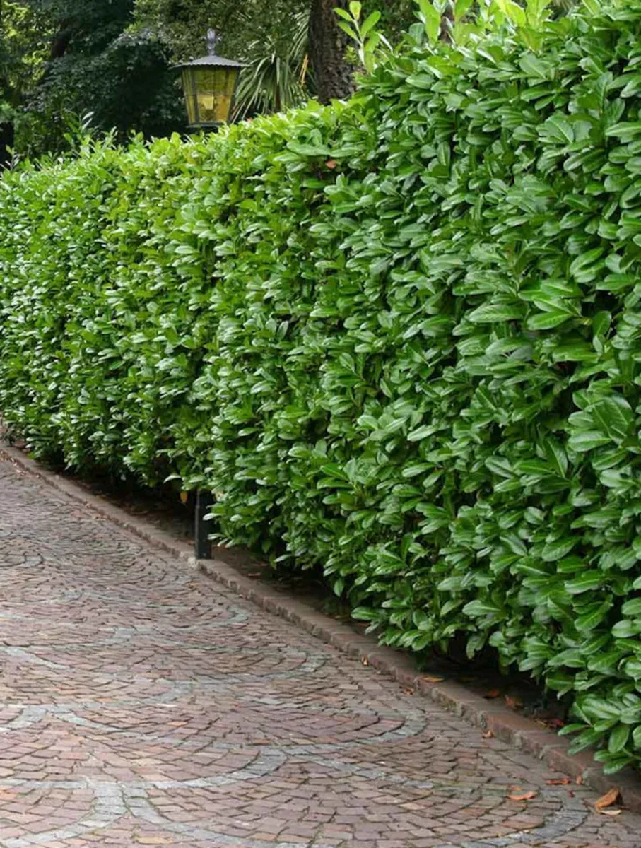 Instant Hedging - Image 2