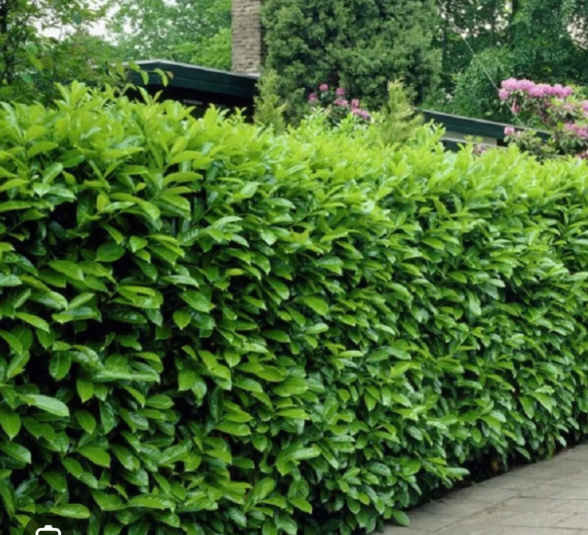Instant Hedging - Image 1