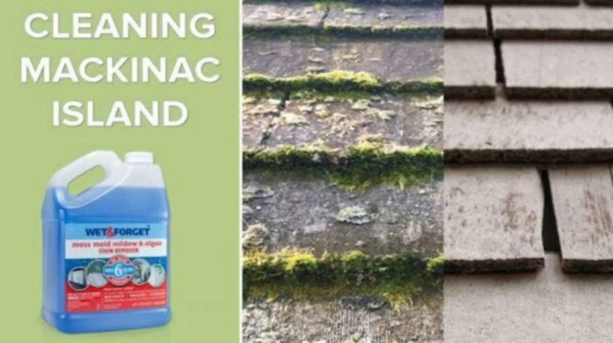 🧽 Cleaning Done The Smart Way 🧽 - Image 4