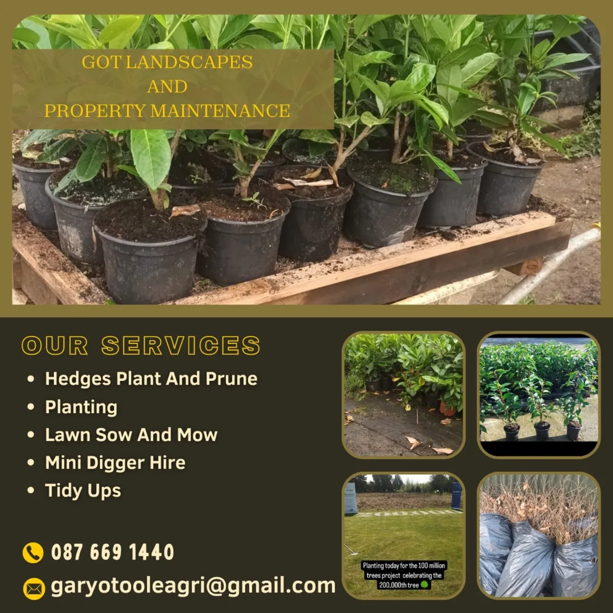 Full garden maintenance - Image 1