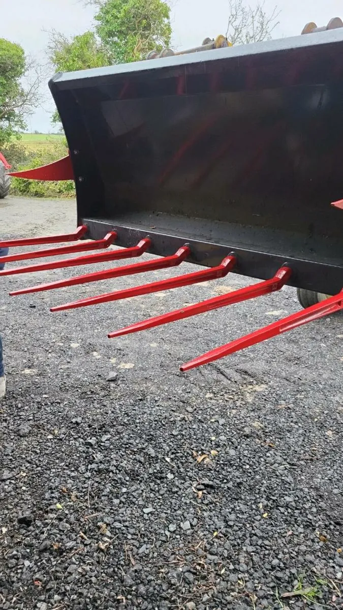 Manure forks intertech - Image 2