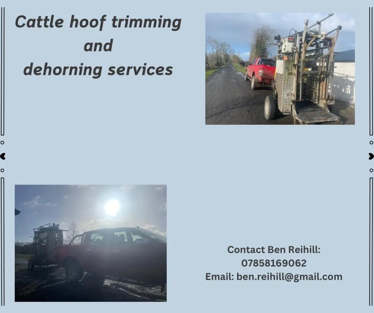 Hoof trimming - Image 1