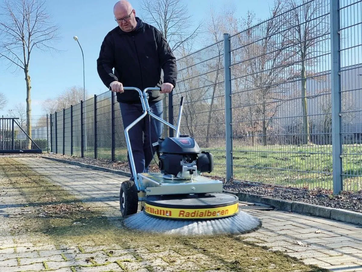 Westermann Moss Brush - Image 3