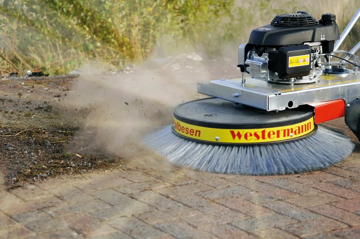 Westermann Moss Brush - Image 1