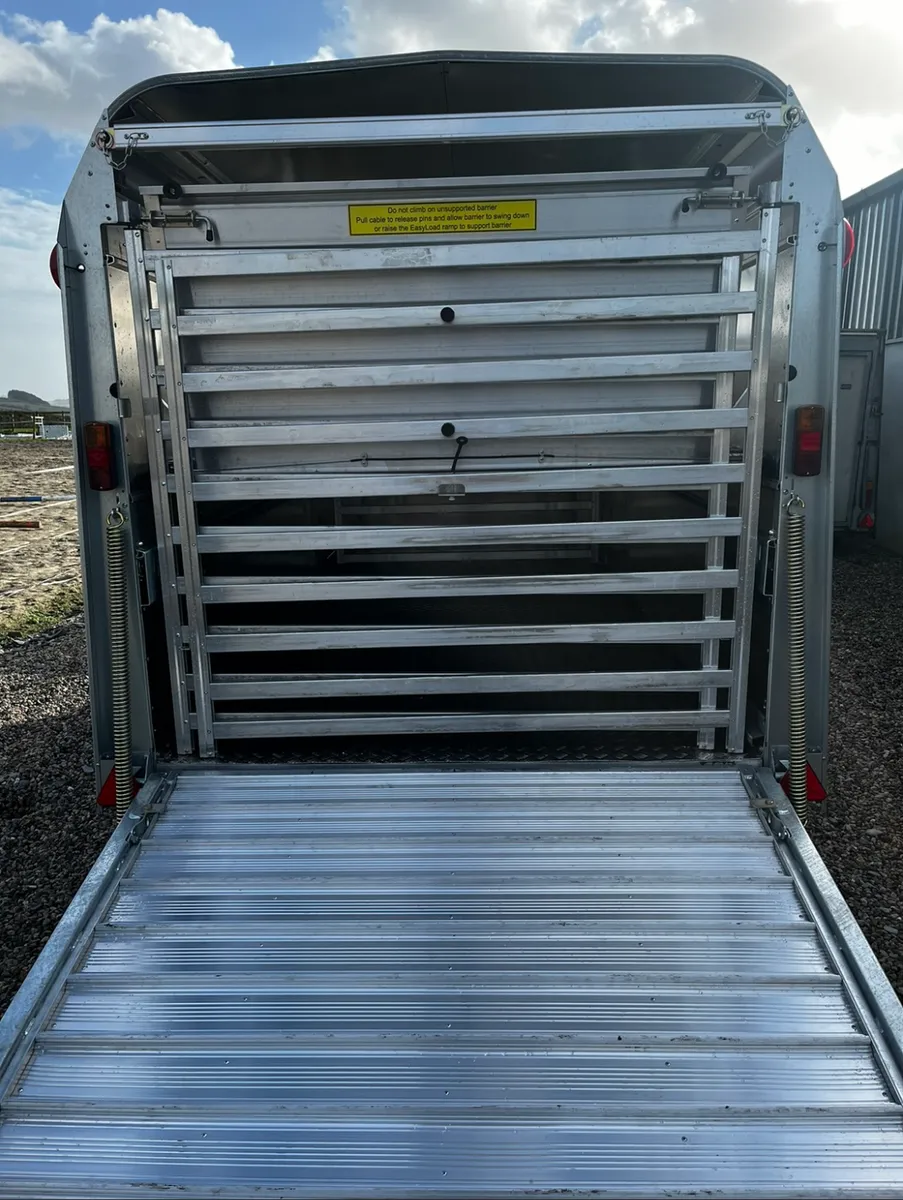 New Ifor Williams 12x6 With Decks - Image 4