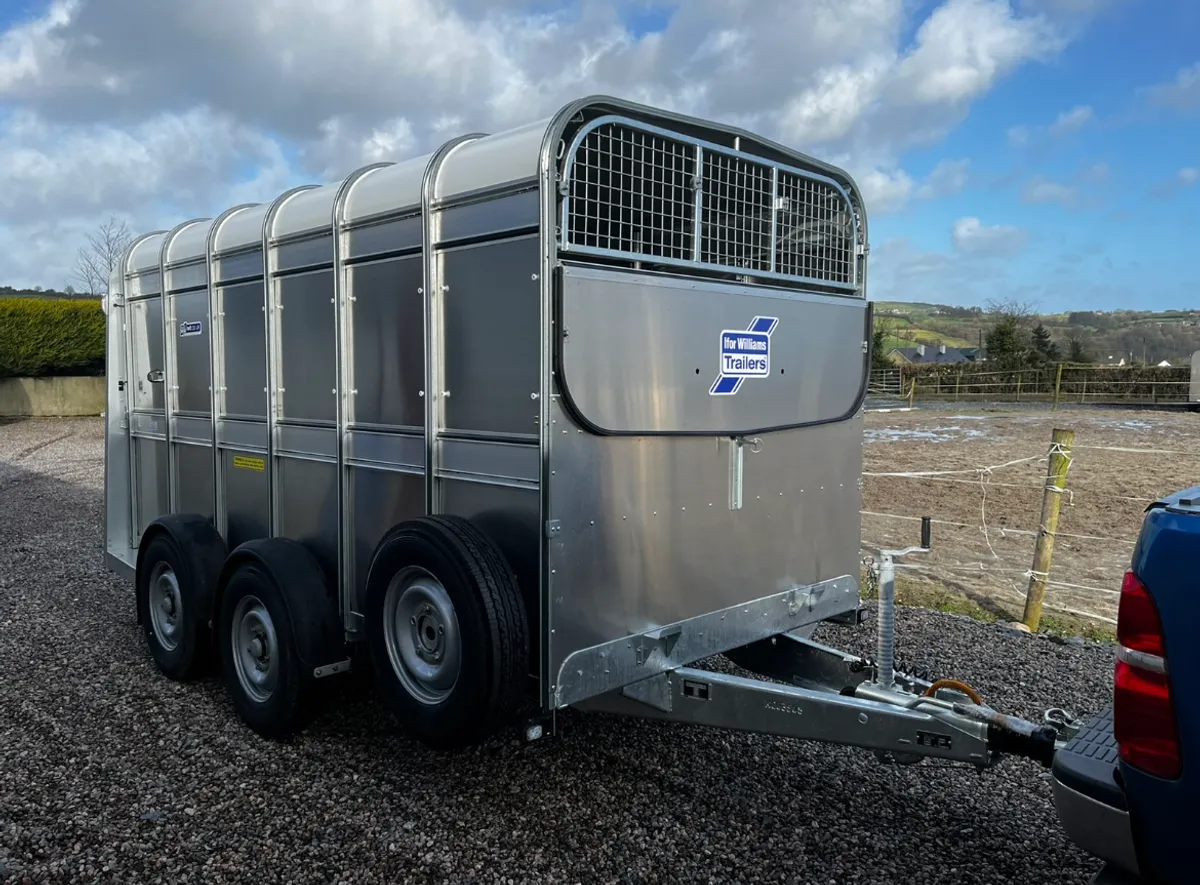 New Ifor Williams 12x6 With Decks - Image 1