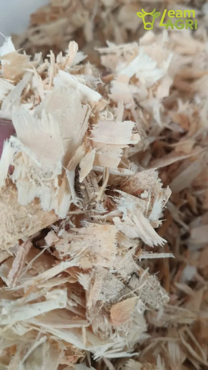 Bales of sawdust and shavings. bedding - Image 3