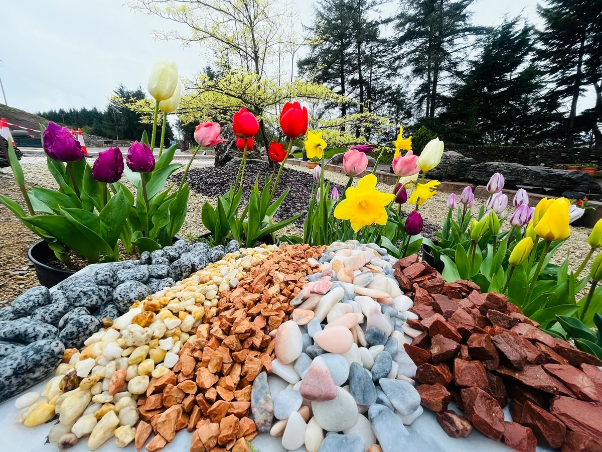 Decorative Stone plum slate rocks boulders pebbles - Image 3