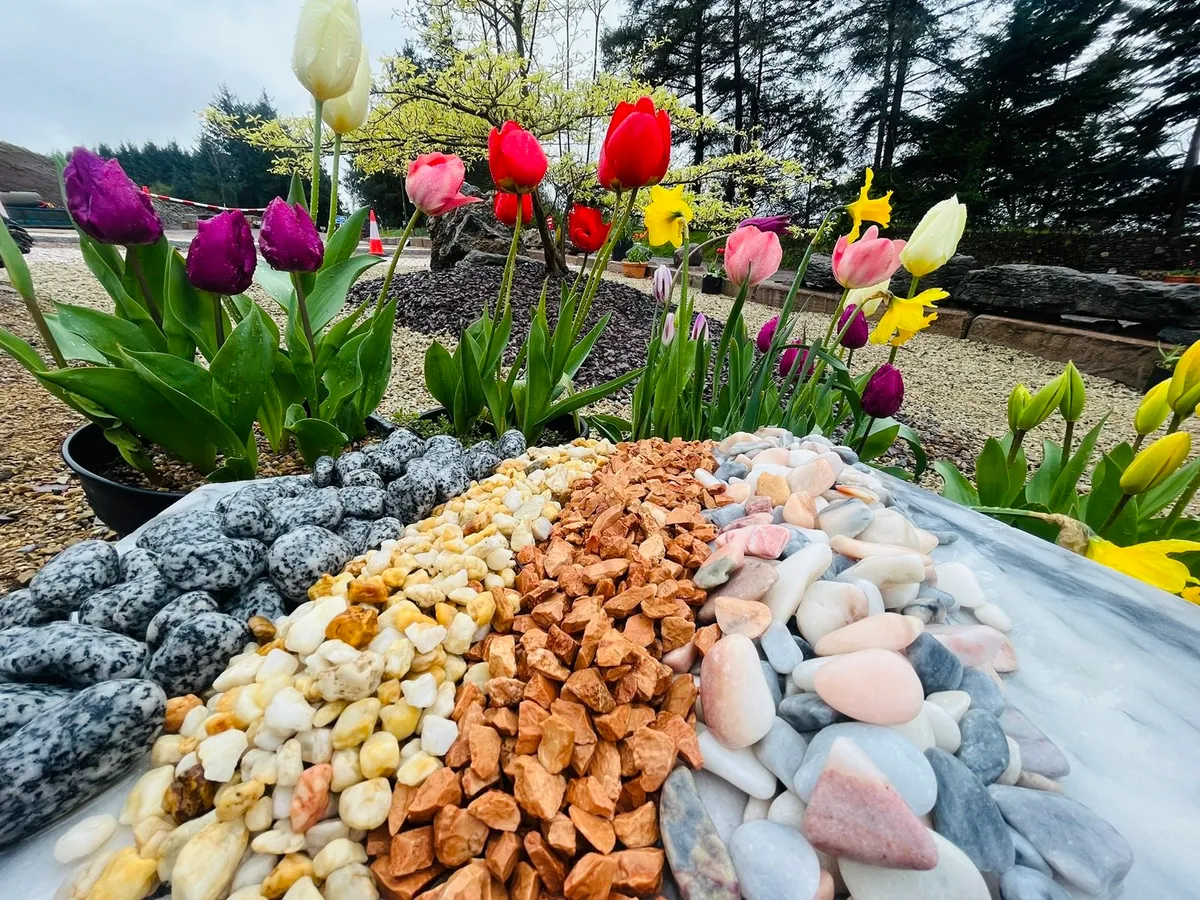 Decorative Stone plum slate rocks boulders pebbles - Image 1