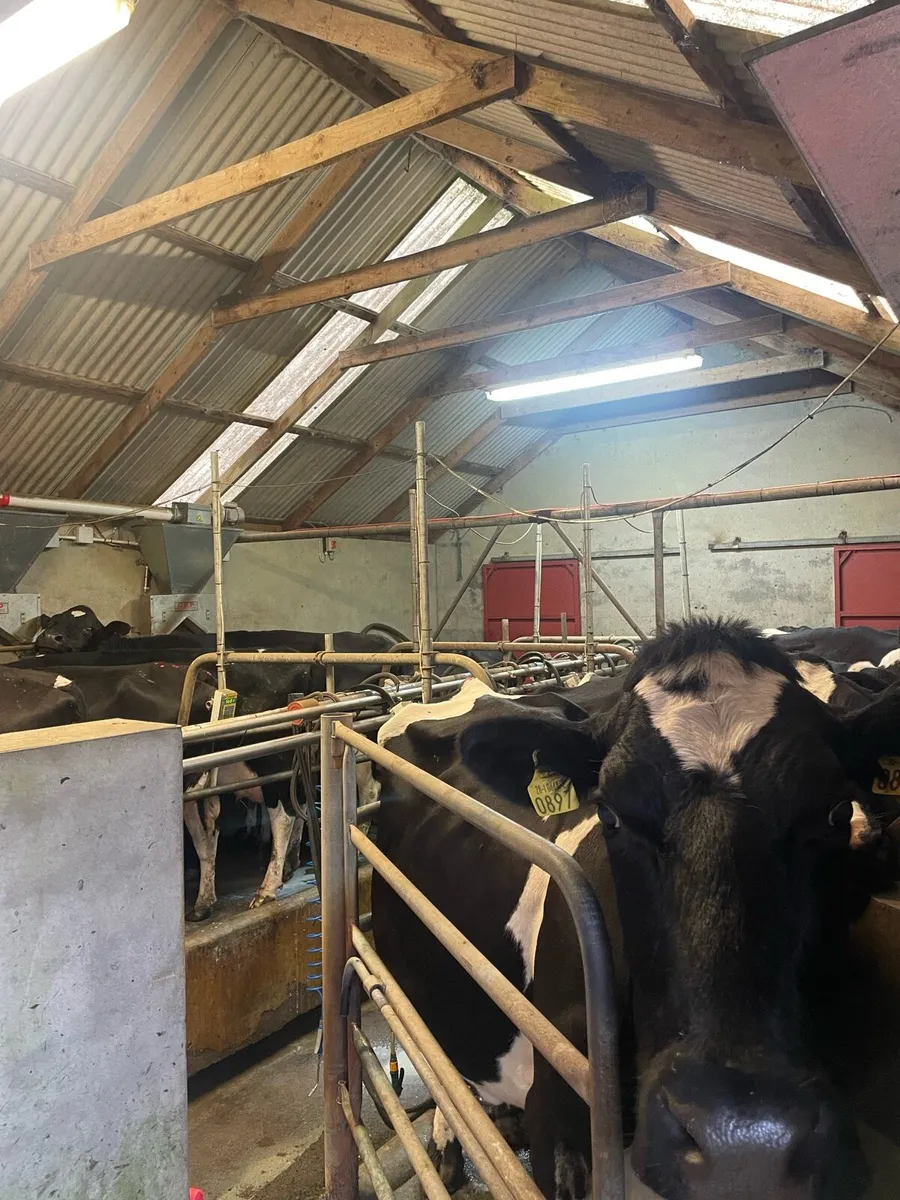 Farm Labourer/Relief Milking Service - Image 3