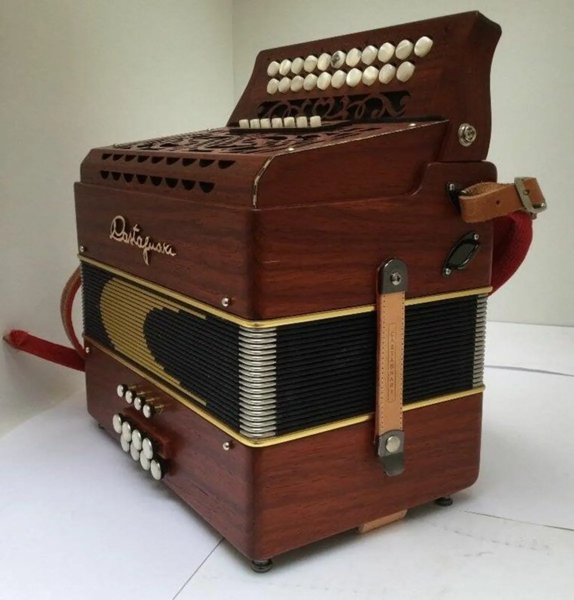 Wielly Castagnari Accordion SALE PRICE - Image 2