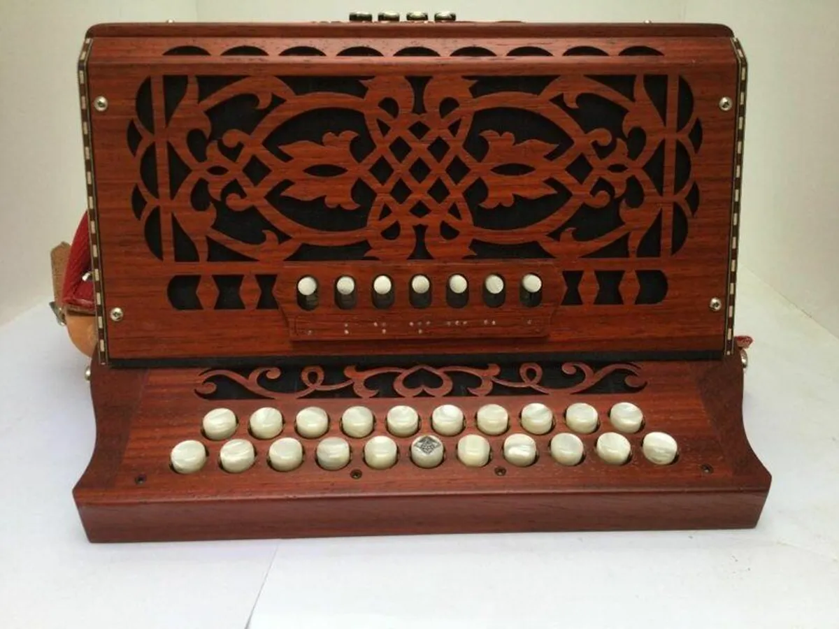 Wielly Castagnari Accordion SALE PRICE - Image 3