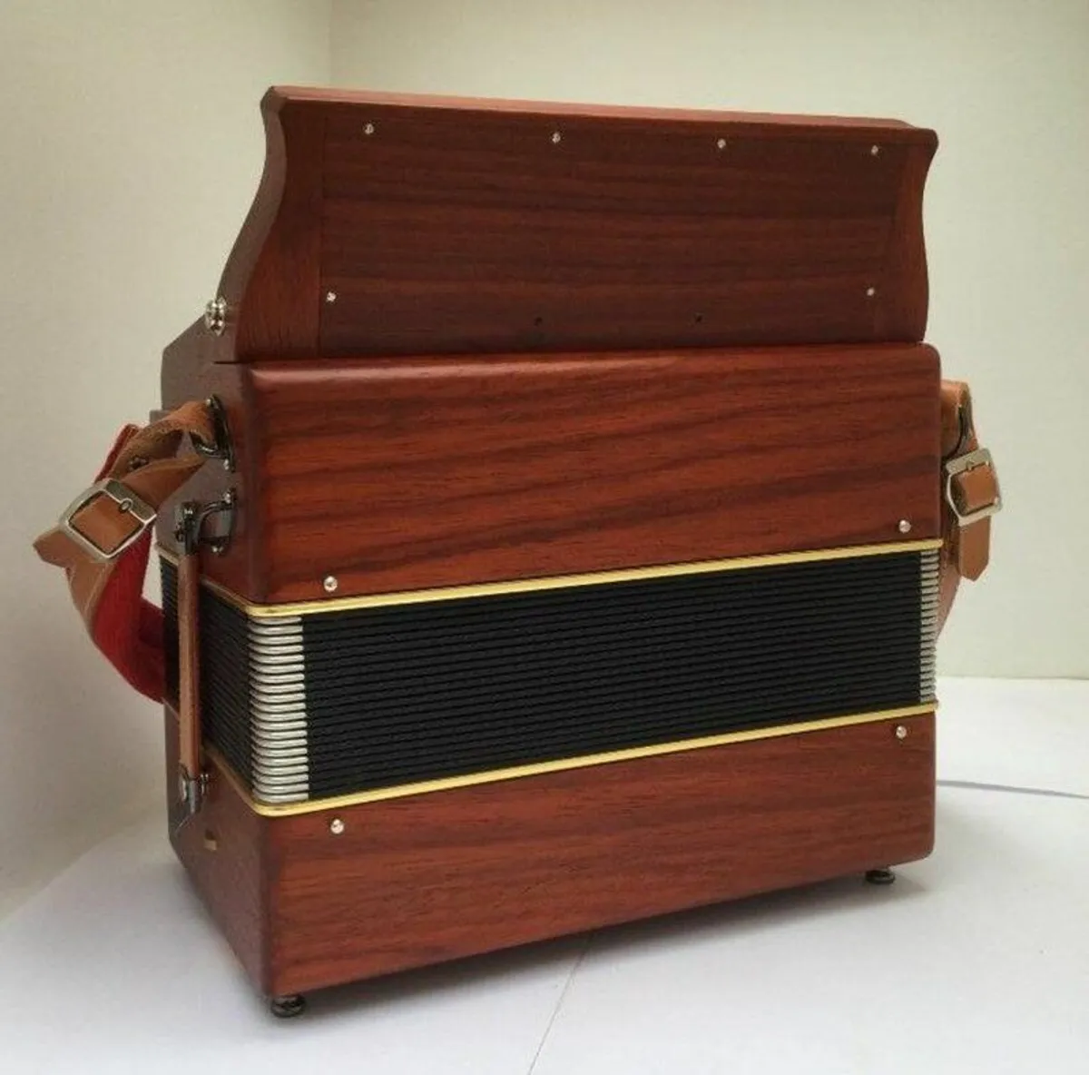 Wielly Castagnari Accordion SALE PRICE - Image 4