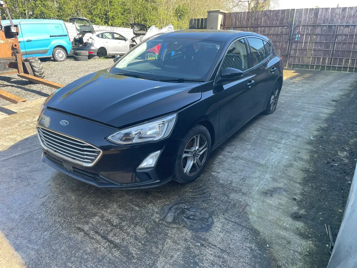 2019 focus st line - Image 2