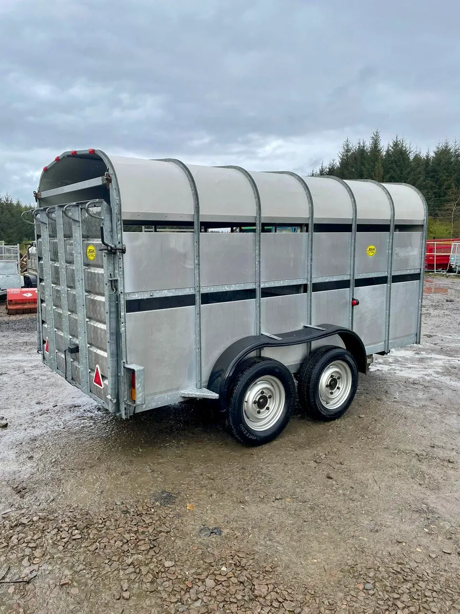 Nugent Livestock Trailer 12x6 - Image 2