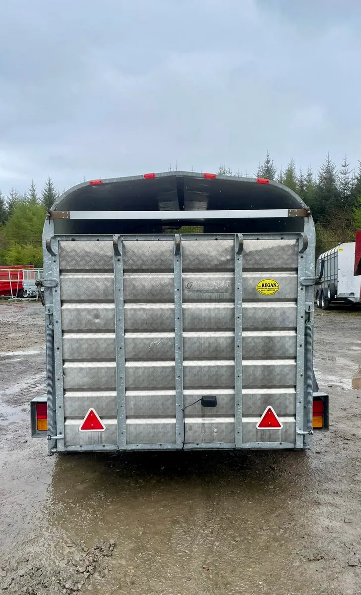 Nugent Livestock Trailer 12x6 - Image 3
