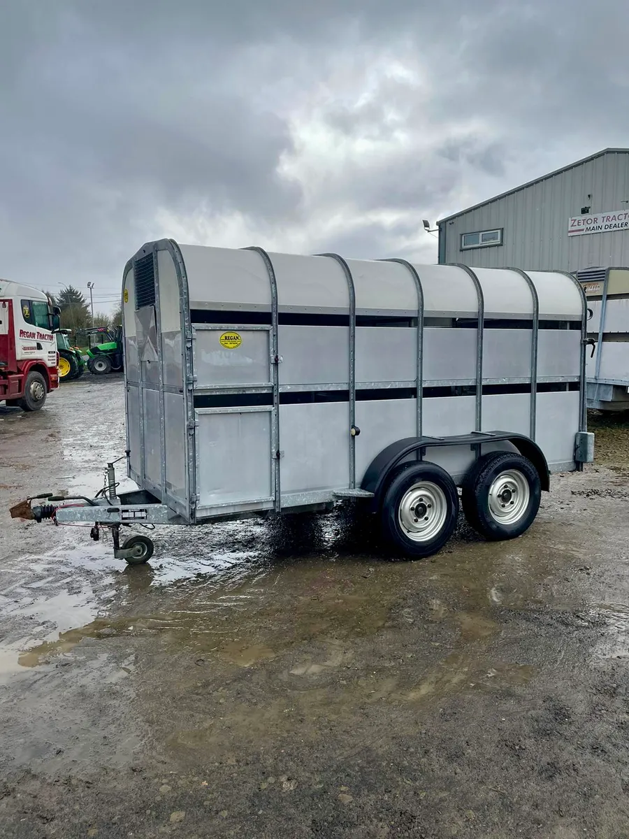 Nugent Livestock Trailer 12x6 - Image 1