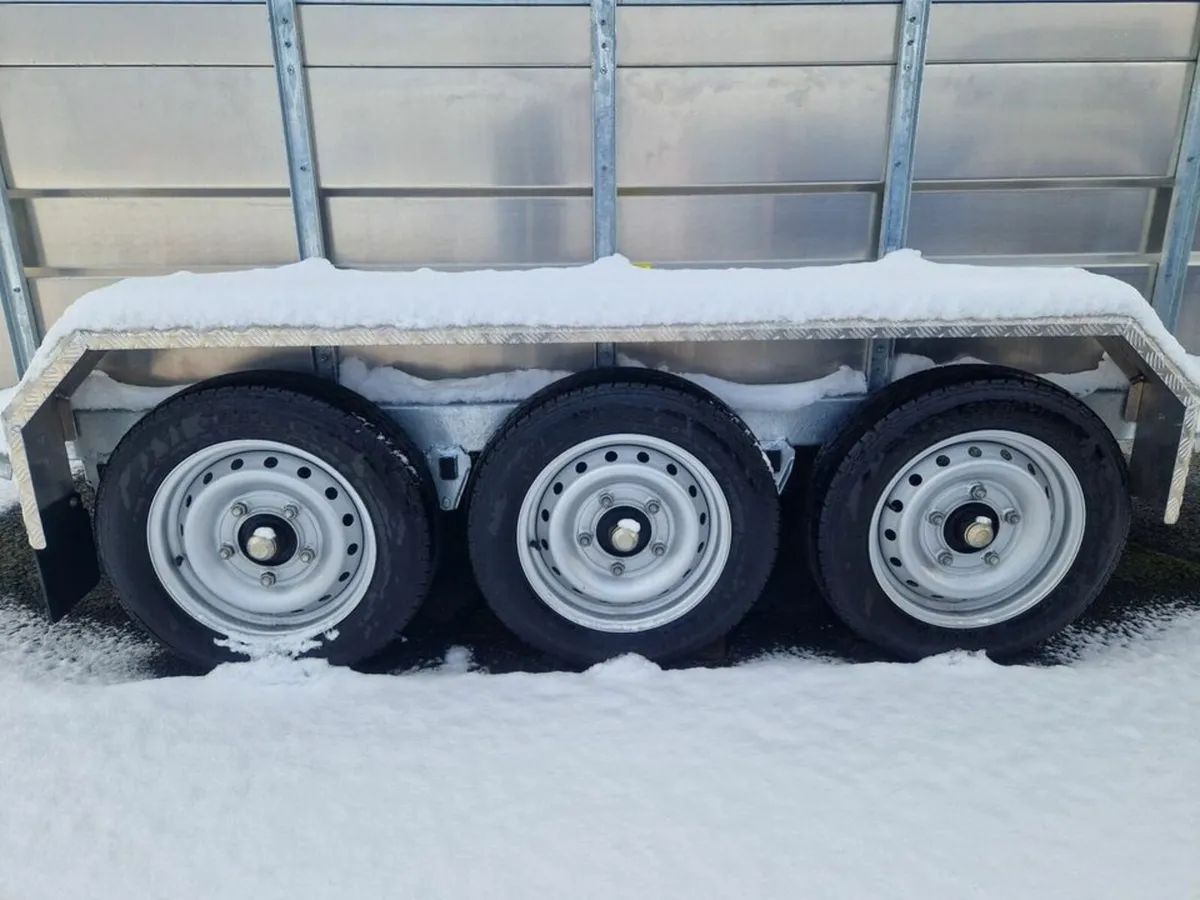 M-Tec Livestock Trailer Range - Image 4