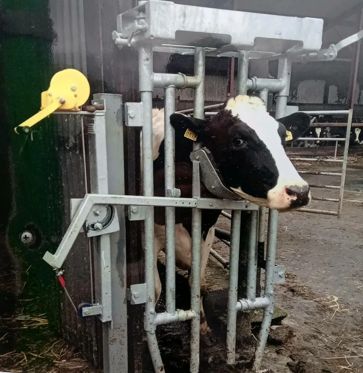 CATTLE HEAD SCOOPS / ANTI BACKING BARS / LEG HOIST - Image 1