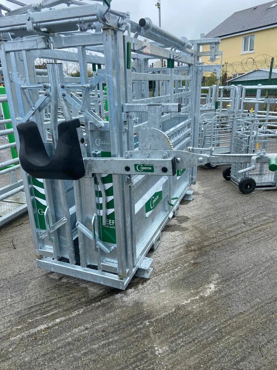 CATTLE HEAD SCOOPS / ANTI BACKING BARS / LEG HOIST - Image 3