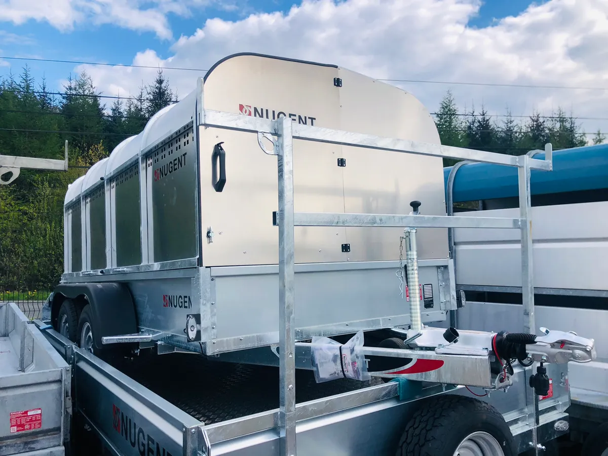 New Nugent Sheep Trailer - Finance Options - Image 3