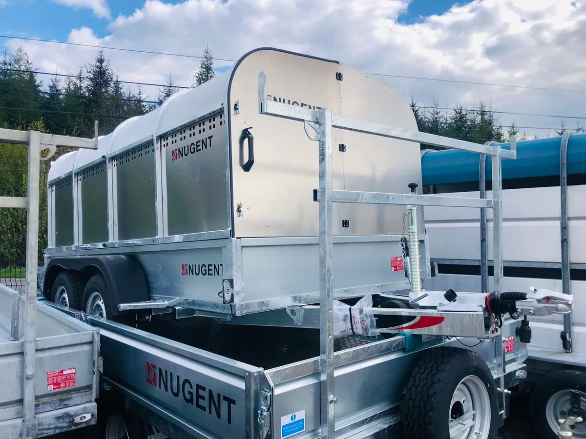 New Nugent Sheep Trailer - Finance Options - Image 4