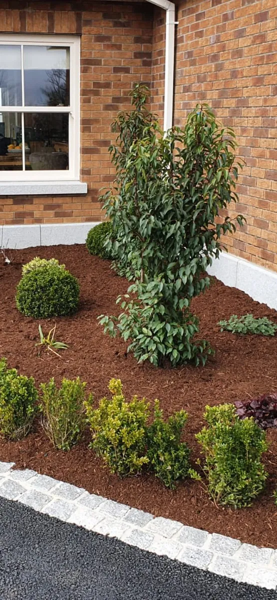 Bark Mulch - Image 2