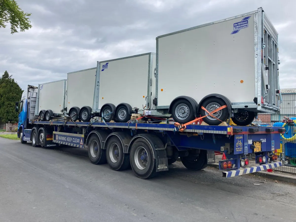 NEW Ifor Williams Boxvan IN STOCK