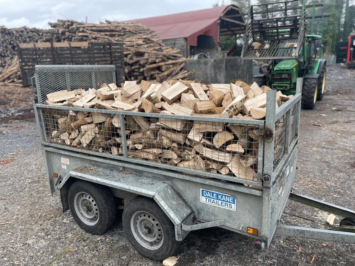 Kiln dried ash firewood. - Image 1