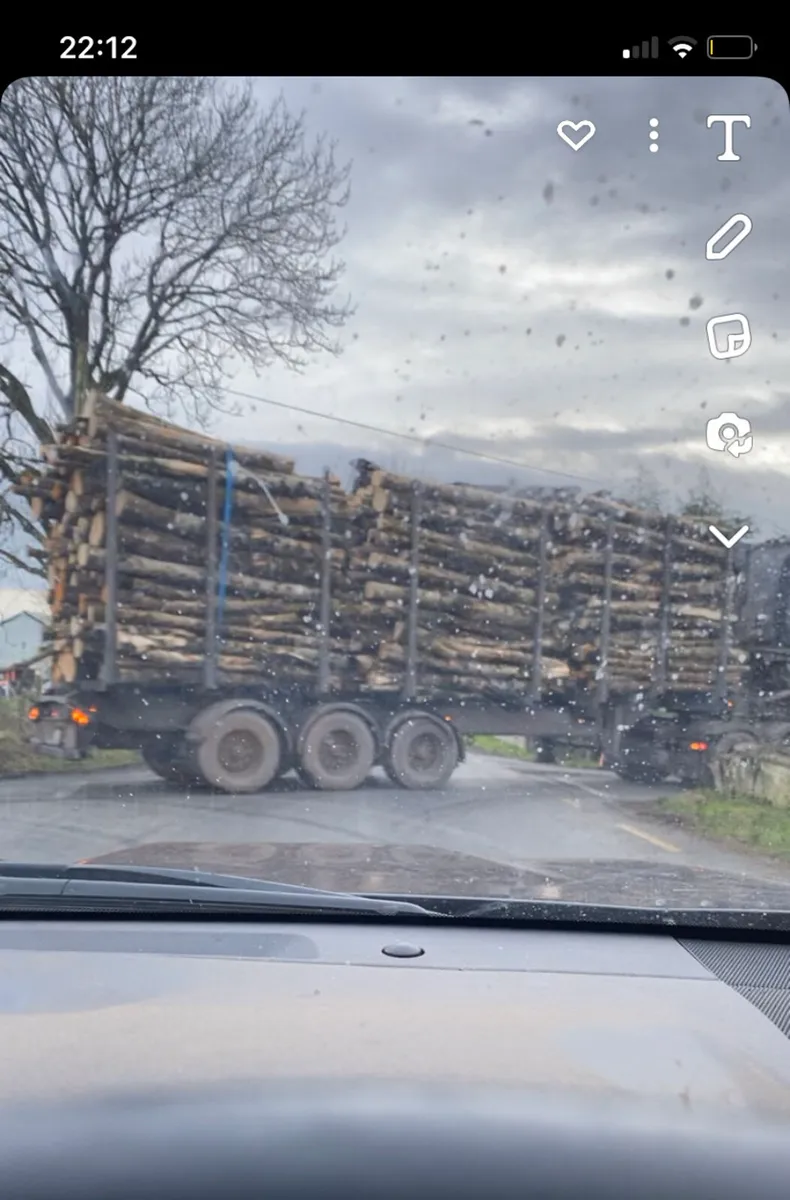 Kiln dried ash firewood. - Image 4