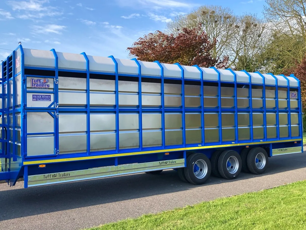 28 ft Tuffmac livestock trailer - Image 2