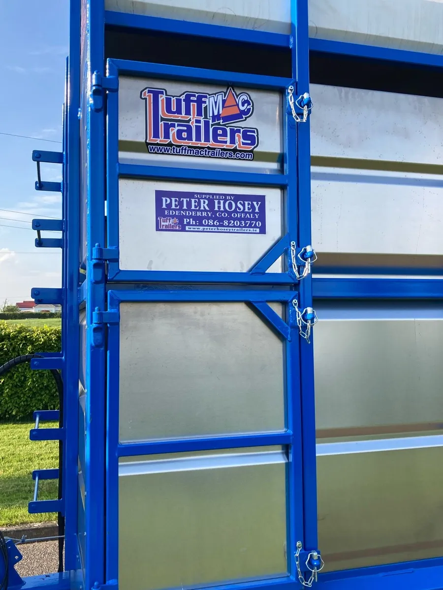 28 ft Tuffmac livestock trailer - Image 3
