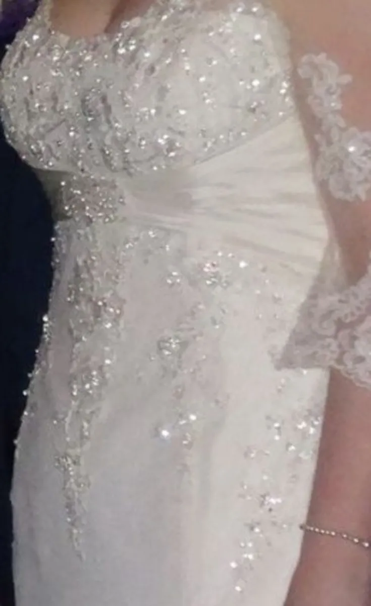 David Tutera Ivory Wedding Dress & Veil - Image 4