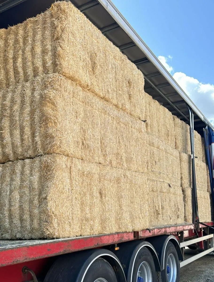 Milled Chopped Straw - Image 2