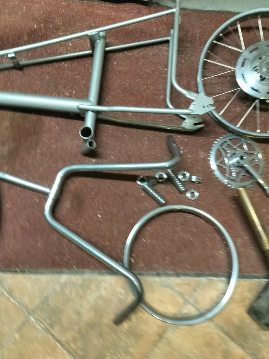 Raleigh Chopper unfinished project - Image 1