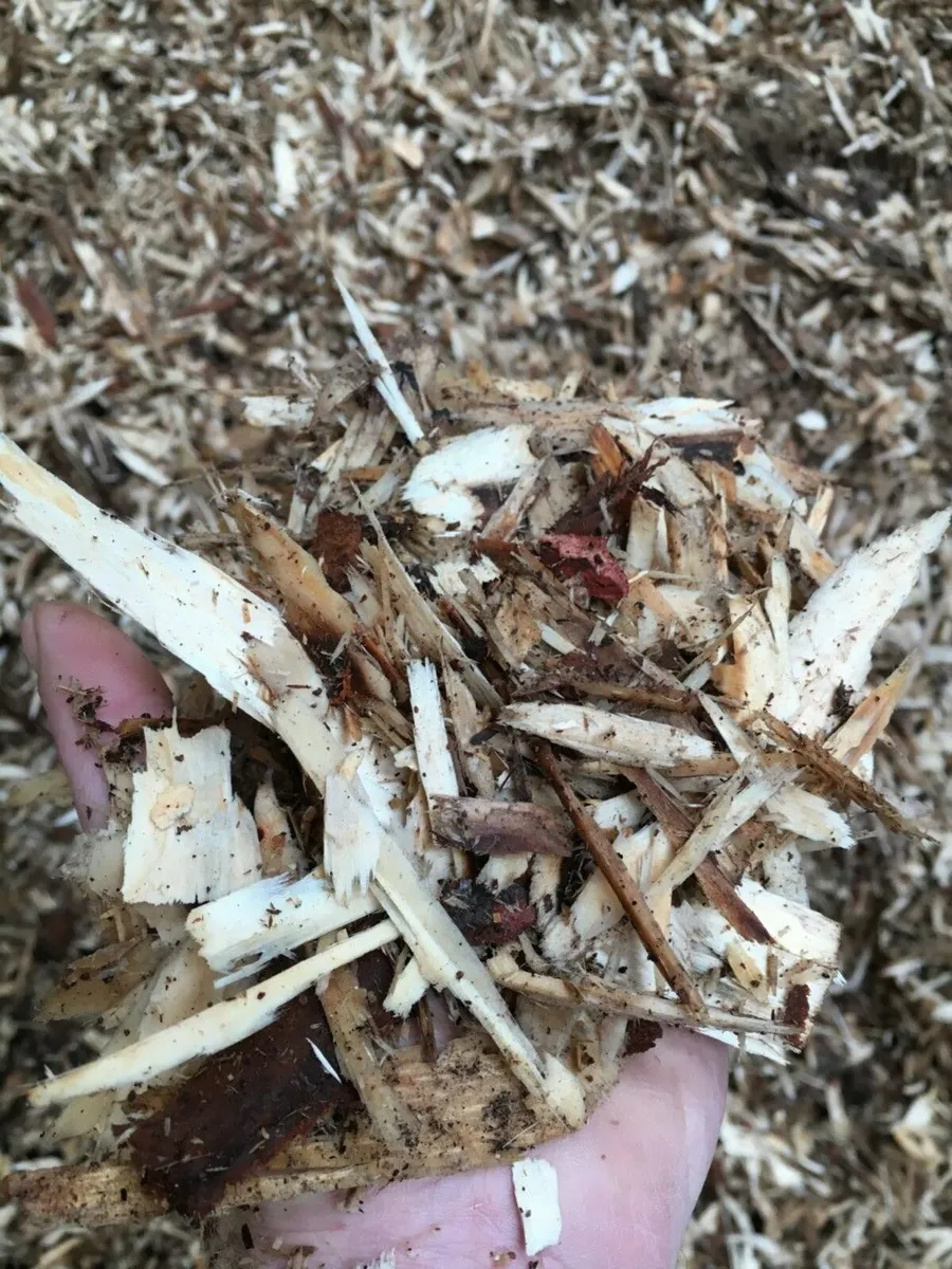 Wood Peelings BIG BAGS. Beat the price of straw - Image 3