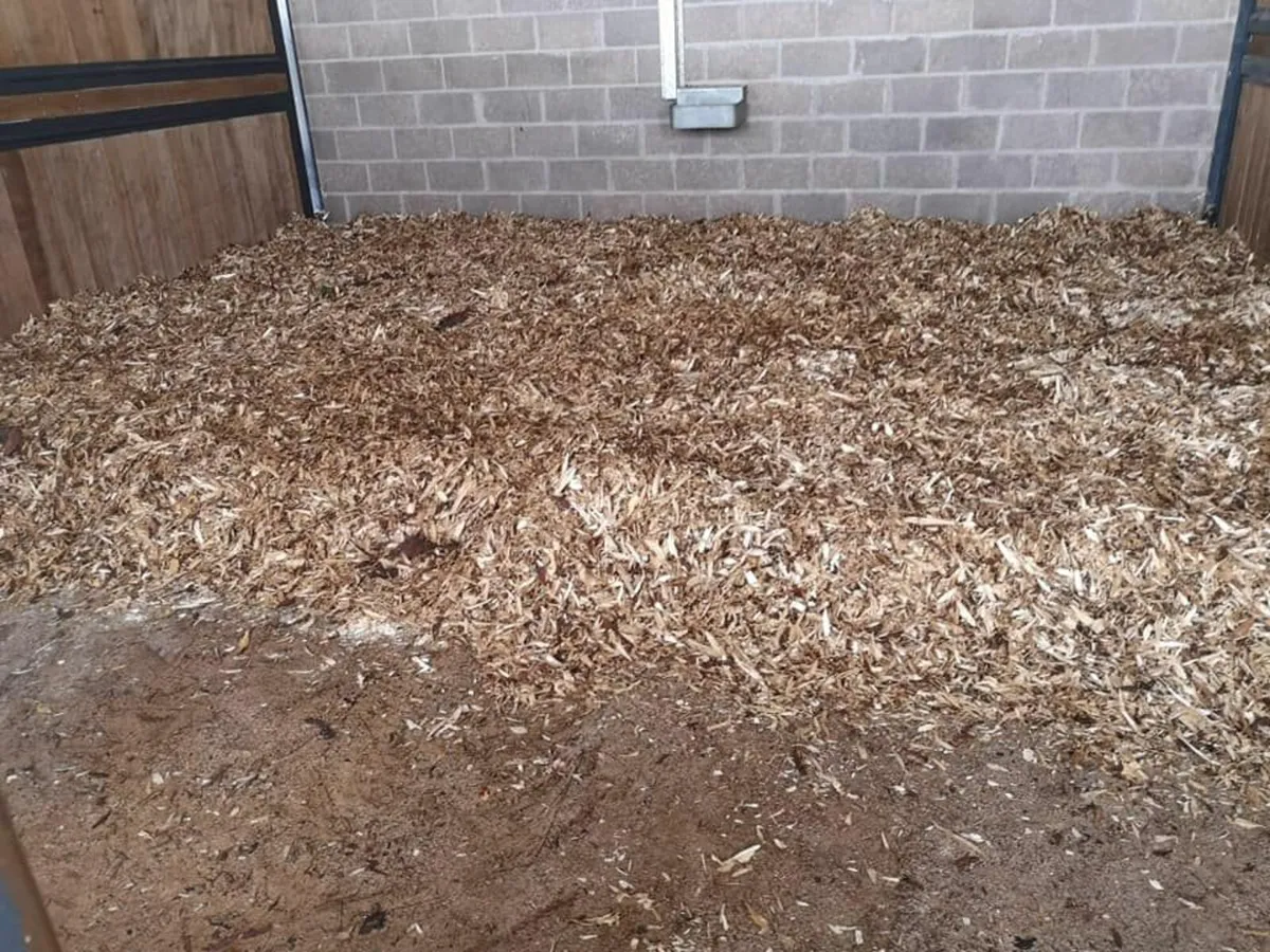 Wood Peelings BIG BAGS. Beat the price of straw - Image 2