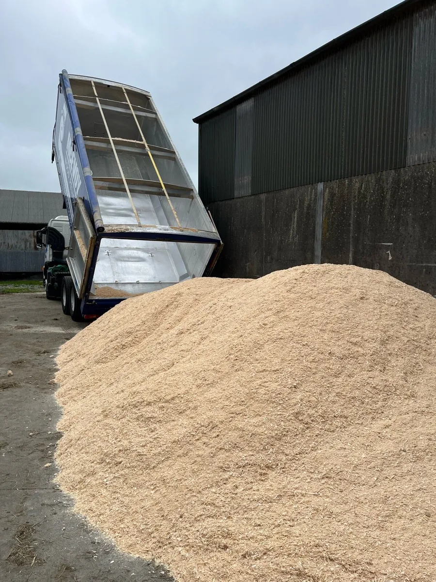Bulk White Sawdust Delivered - Image 1