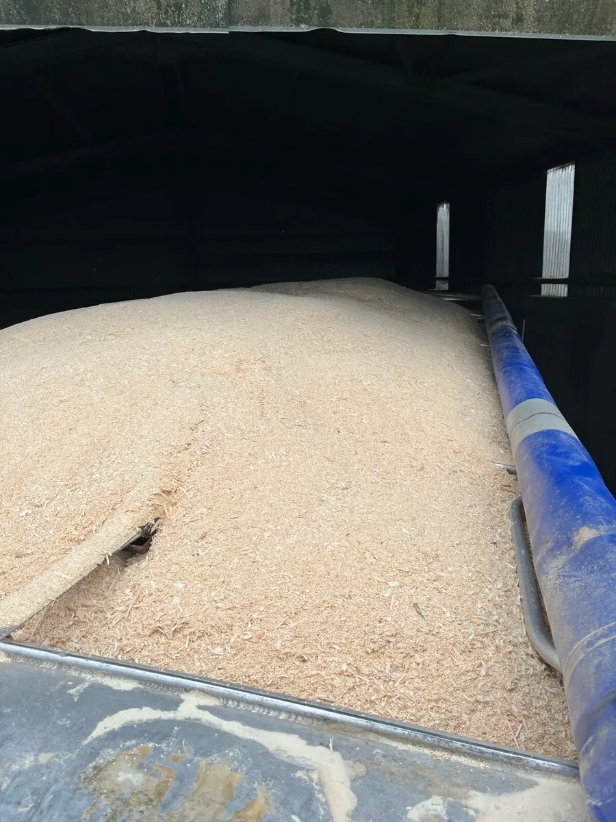 Bulk White Sawdust Delivered - Image 4