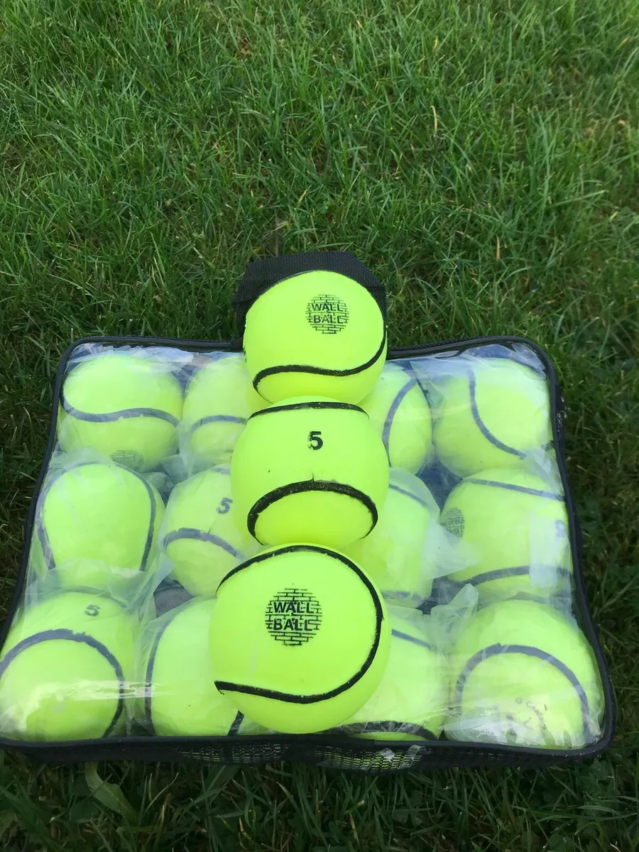 Wall Ball Sliotars/ Hurley/Hurling size 5 - Image 1