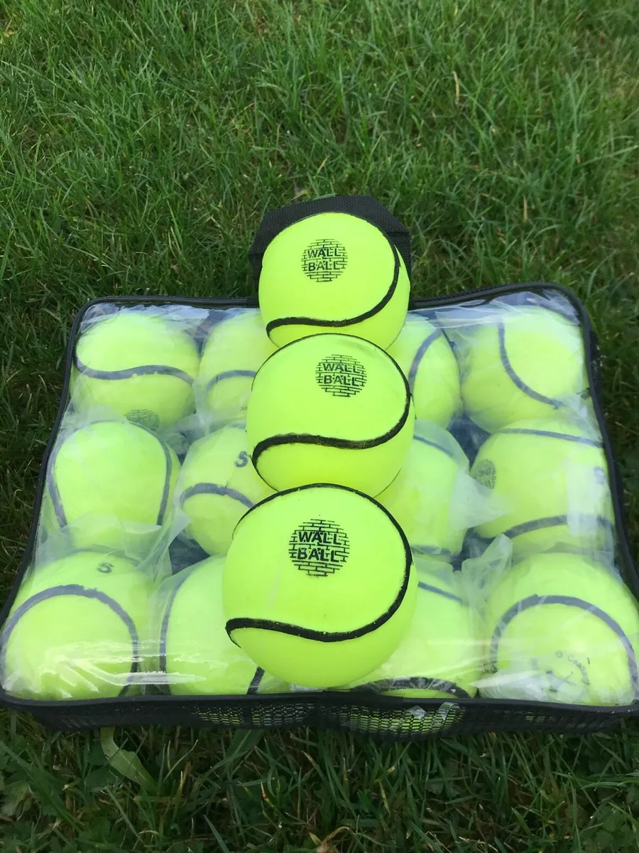 Wall Ball Sliotars/ Hurley/Hurling size 5 - Image 2