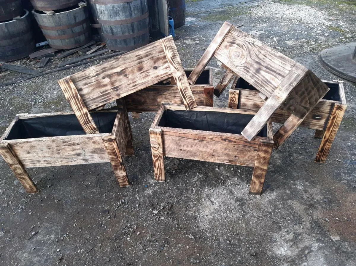Raised garden boxes - Image 1